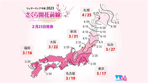 大門向西南2024